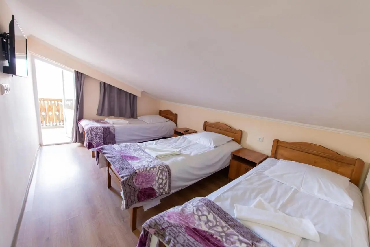 Hotel Zemo Aragvi