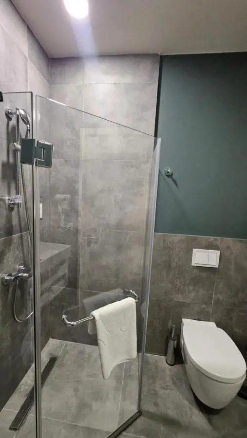 Arkhi Kokhta Bakuriani Apt 304