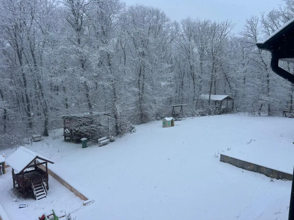 CHALET WOODS GUSAR