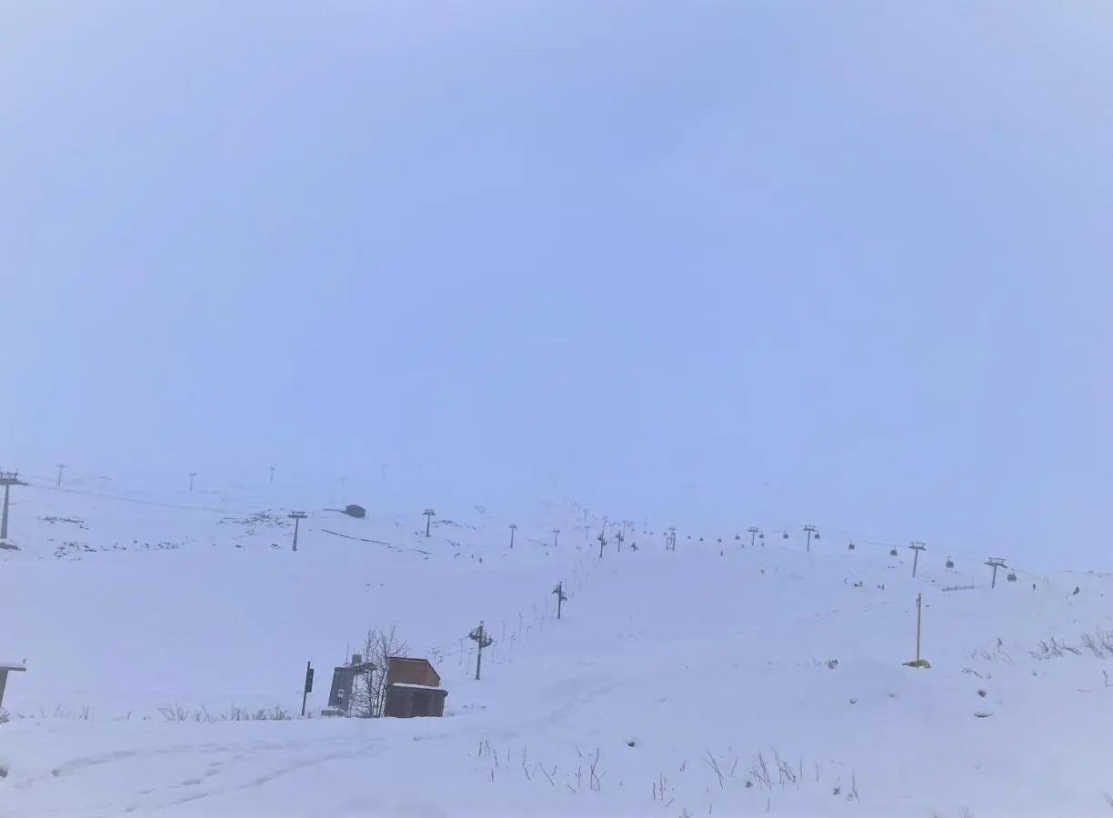 Winter Flat - Orange Ski
