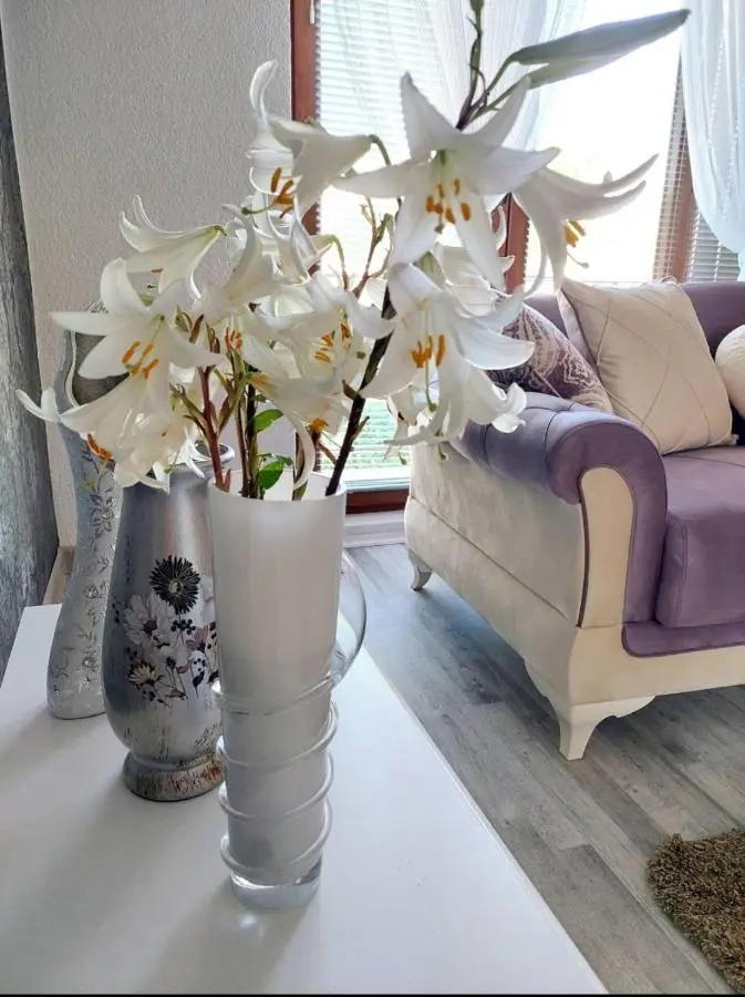 Apartman STARI GRAD