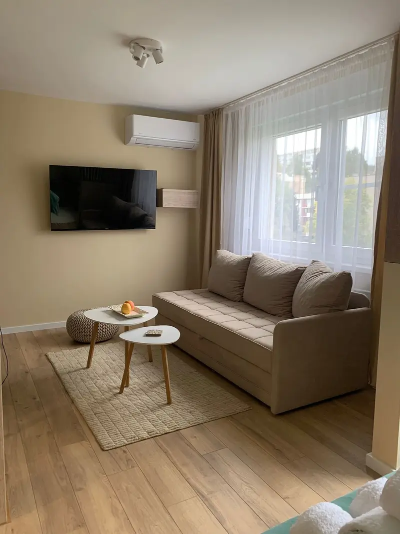 Lovely Studio Apartment Green