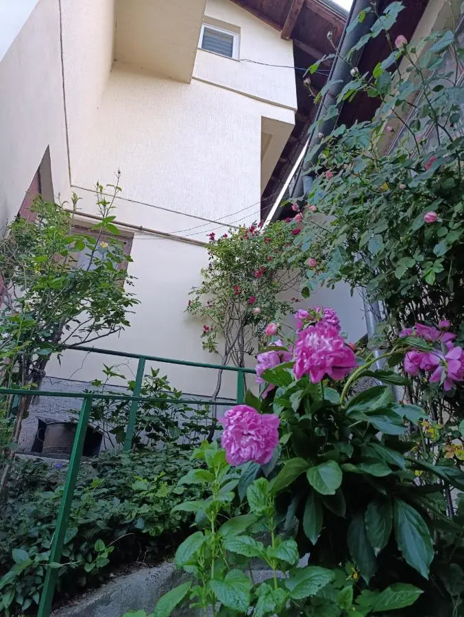 Saraj heights house