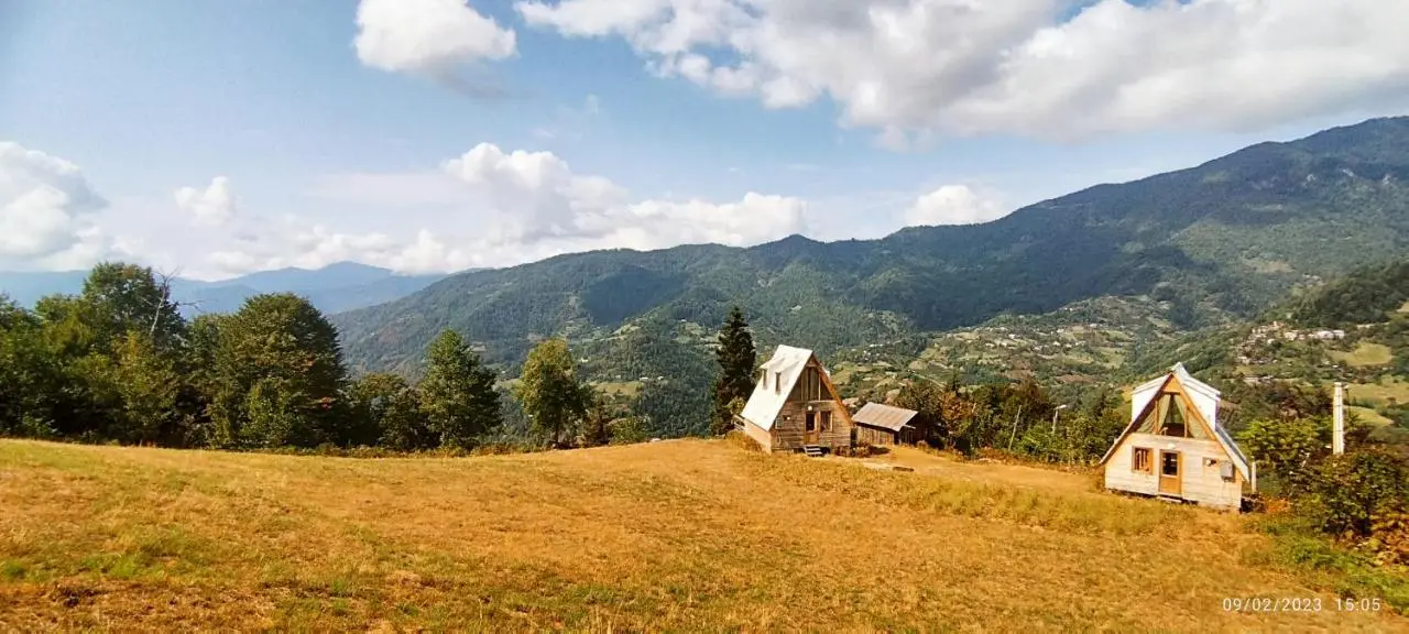 GREEN GUNDAURI