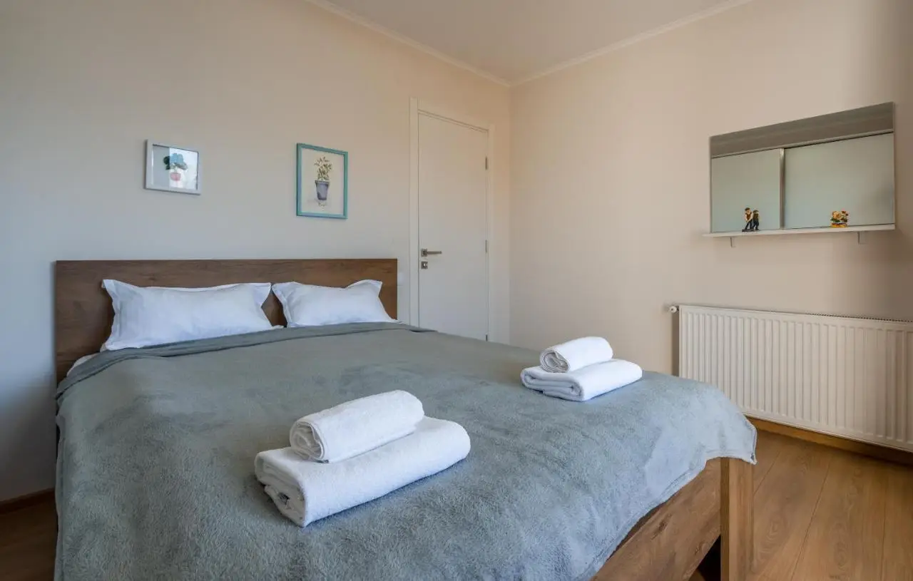 2-room Apartment NFT Vista Gudauri 17- Near Ski Lift