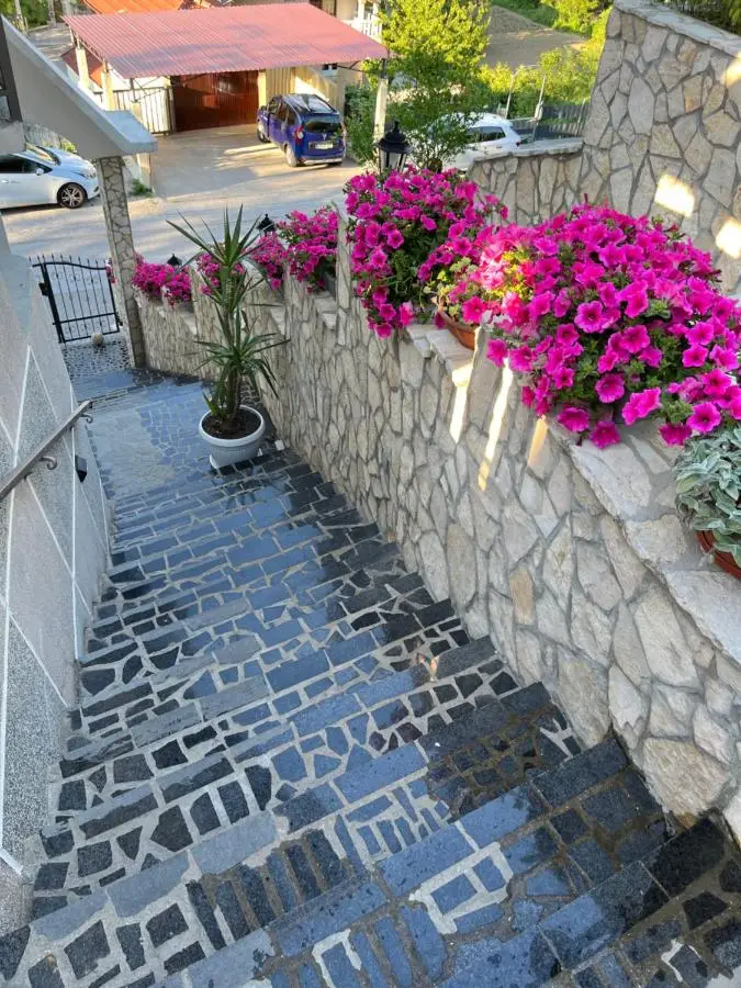 Bonita Apartments