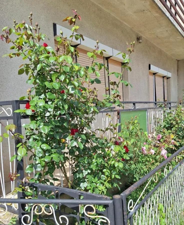 Relax Rose Apartment