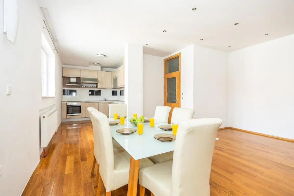 Spacious Apartment in Downtown