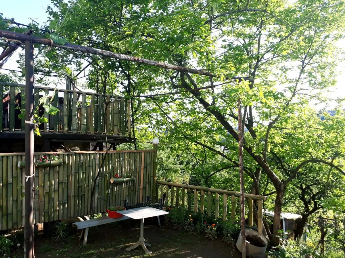 Nature House