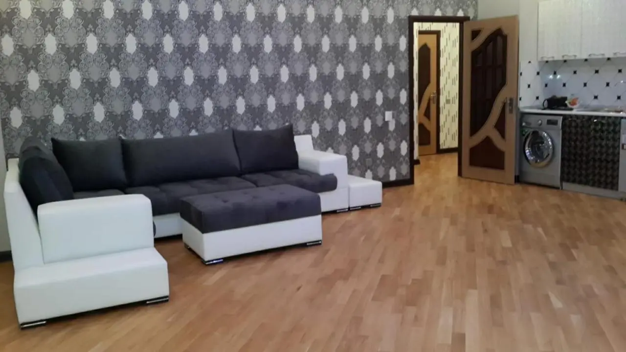 Deluxe apartment in Baku