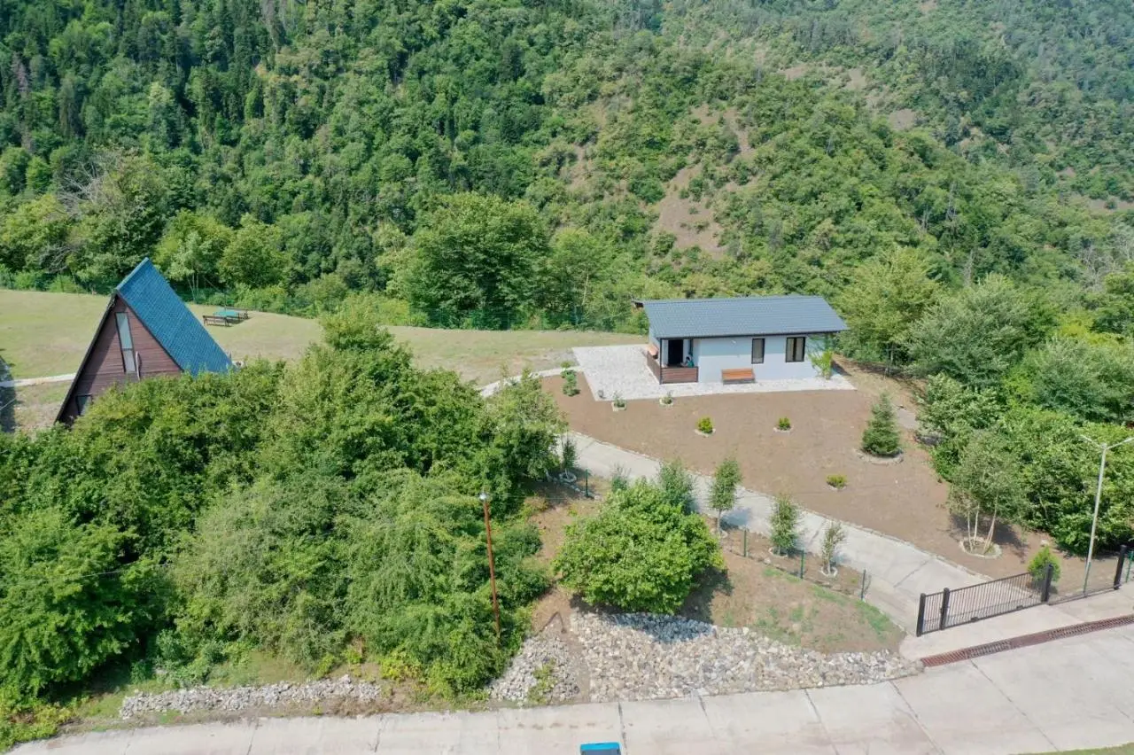 Borjomi Cottage Sadgeri