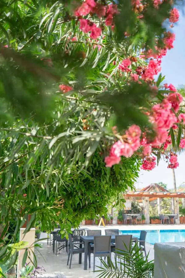 WEST HOUSE EXCLUSIVE HOTEL