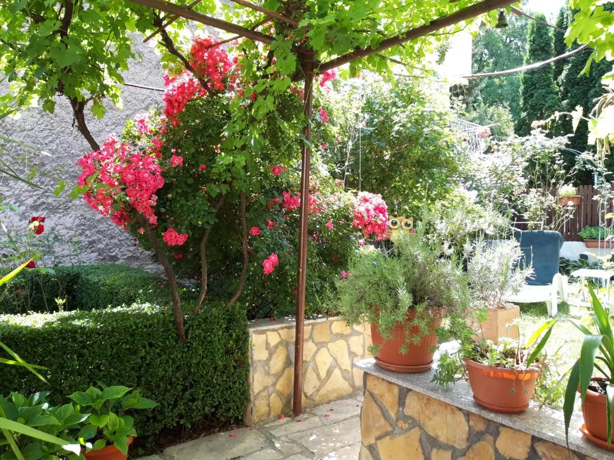 Modern&Cozy Bosnian house with GARDEN+FREE parking