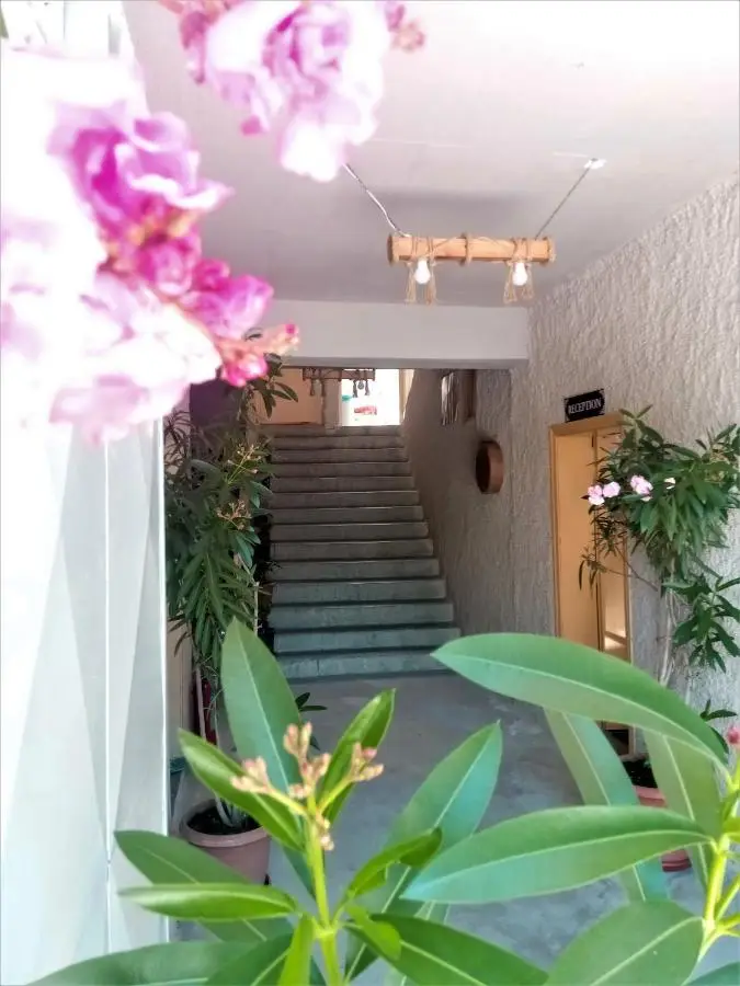Homestay Cave Hostel