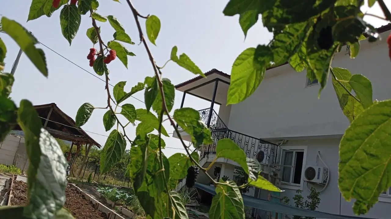 Gelinkızı Apart