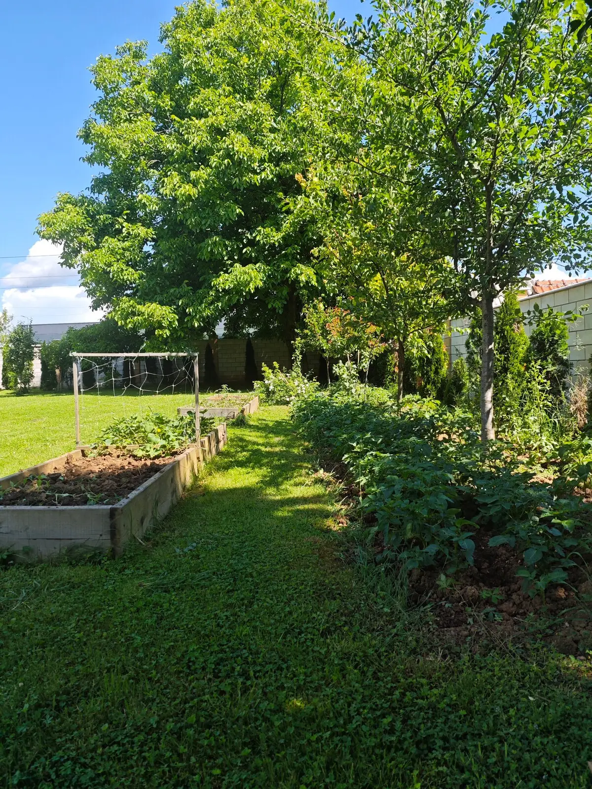 Luxury Villa Plandište 1
