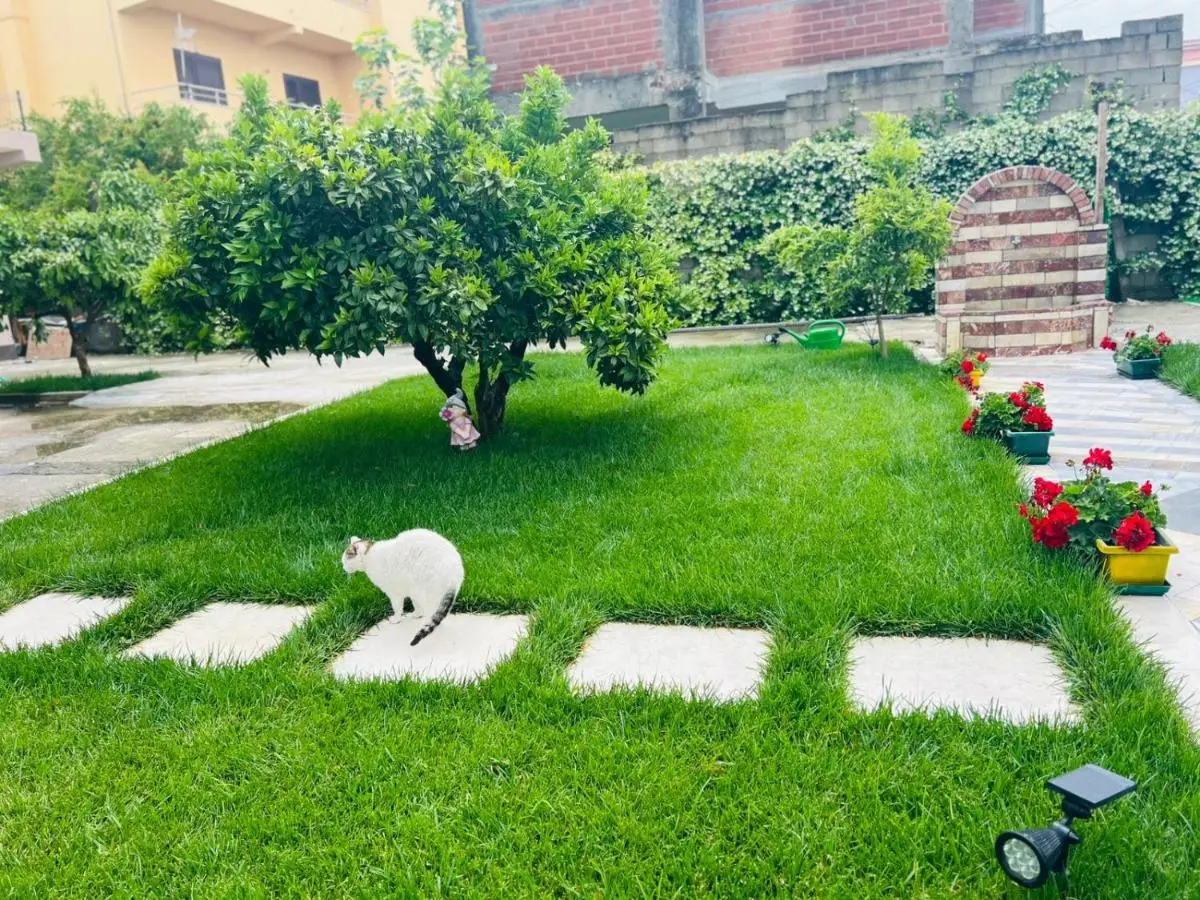 Villa Sarvi