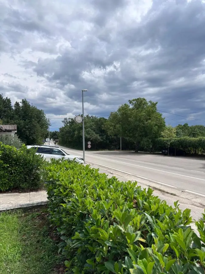 Apartmani Novak