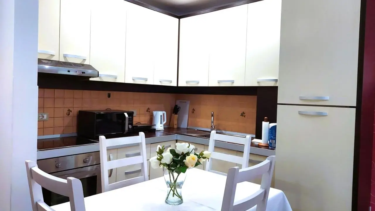 The spacious comfy apartment in the heart of Blloku