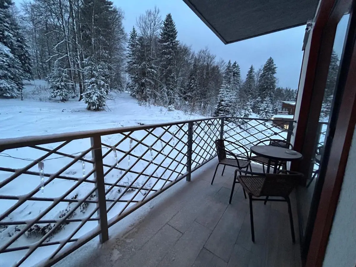Bakuriani Hotel Apartments 301