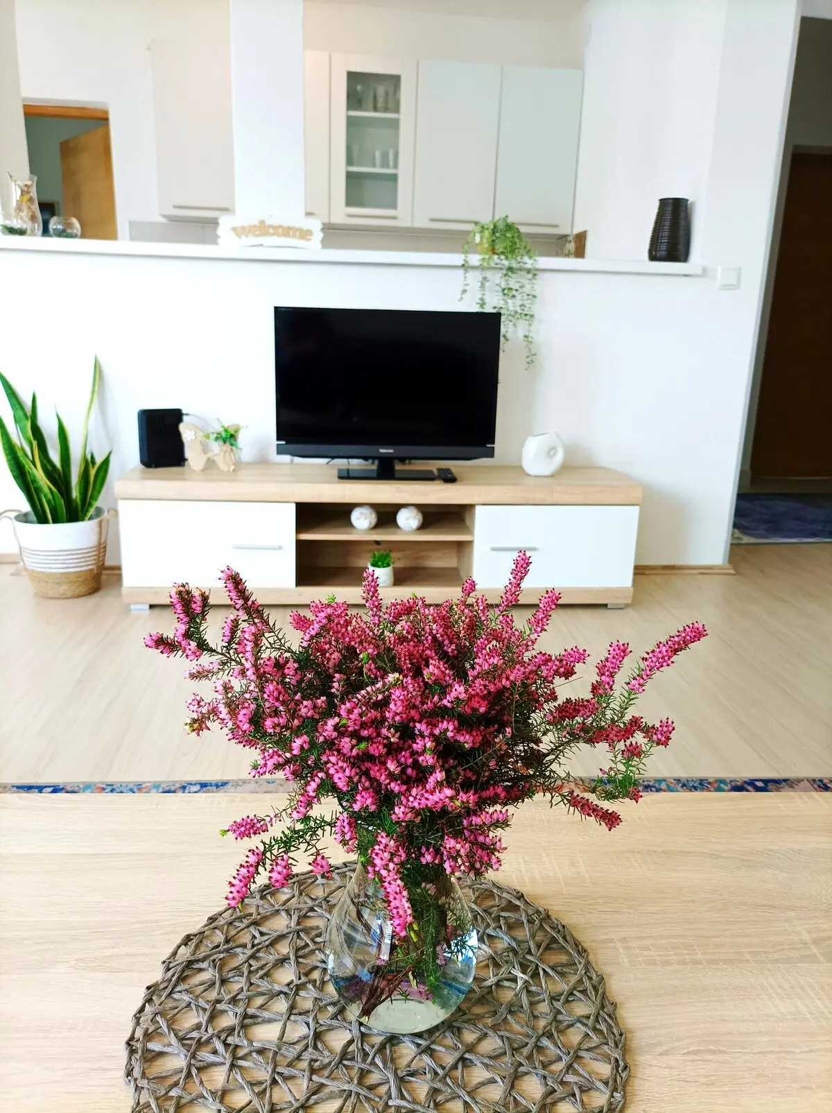 Apartment Asja
