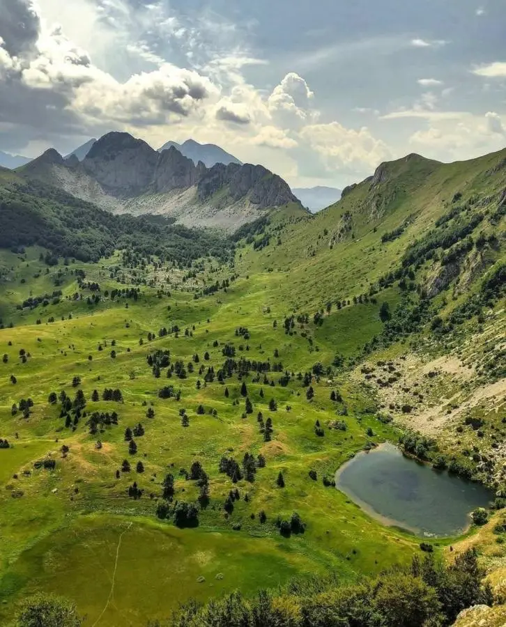 Vikendica Vrba