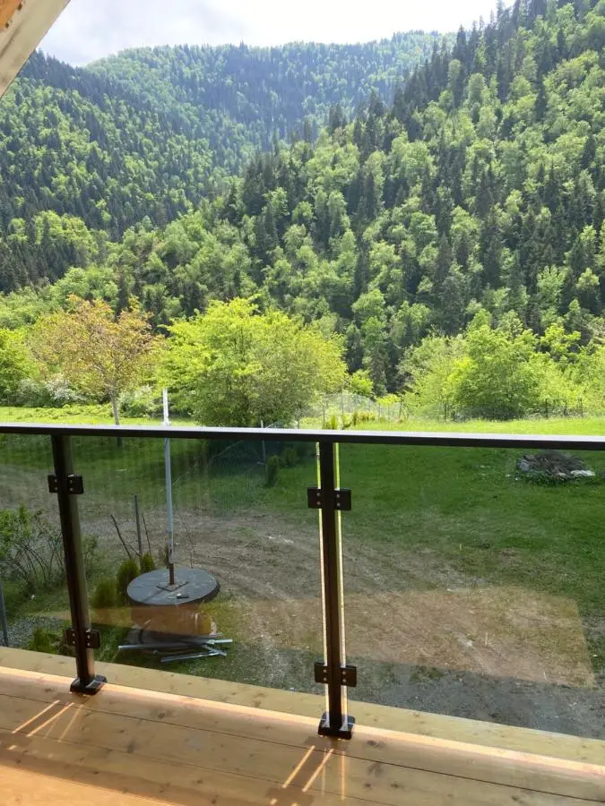 MTA house - Borjomi