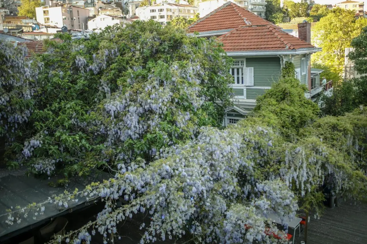 Loop Hotel Bosphorus Istanbul