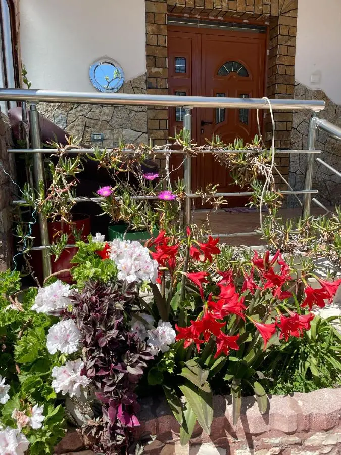 Guest House Miracle Garden