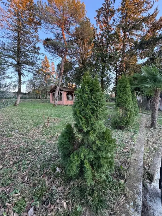 Hotel Giorgi