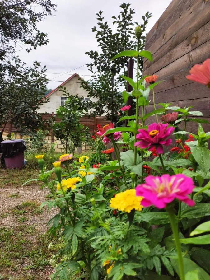 GUEST House