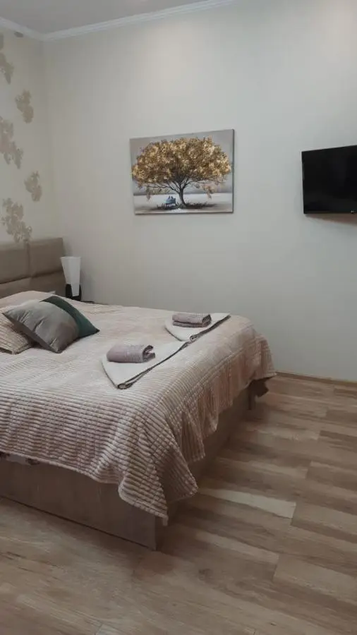 Apartment on L.Meskhishvili Turn