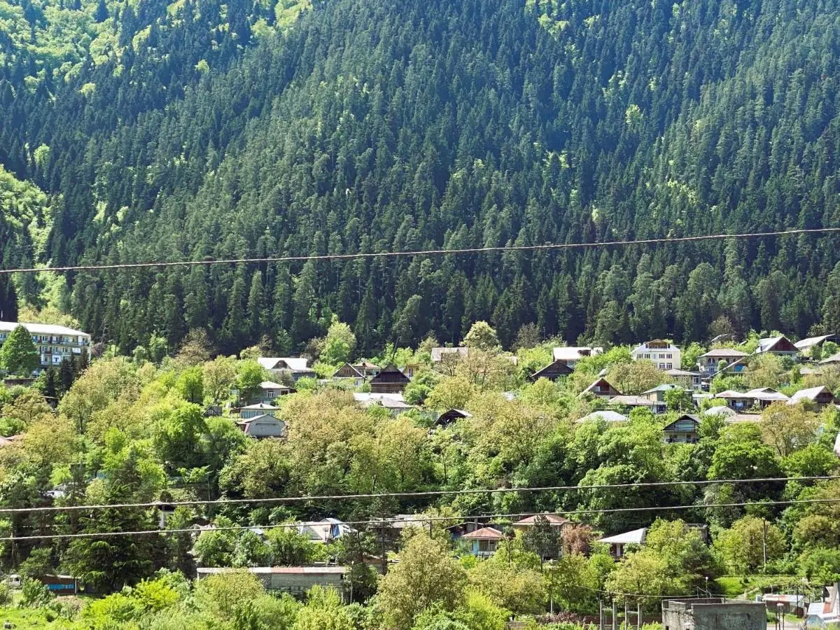 Wonderwood Borjomi Cottage