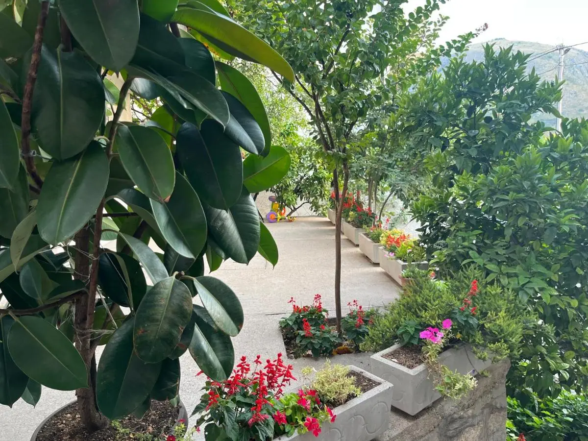 Farah Apartment