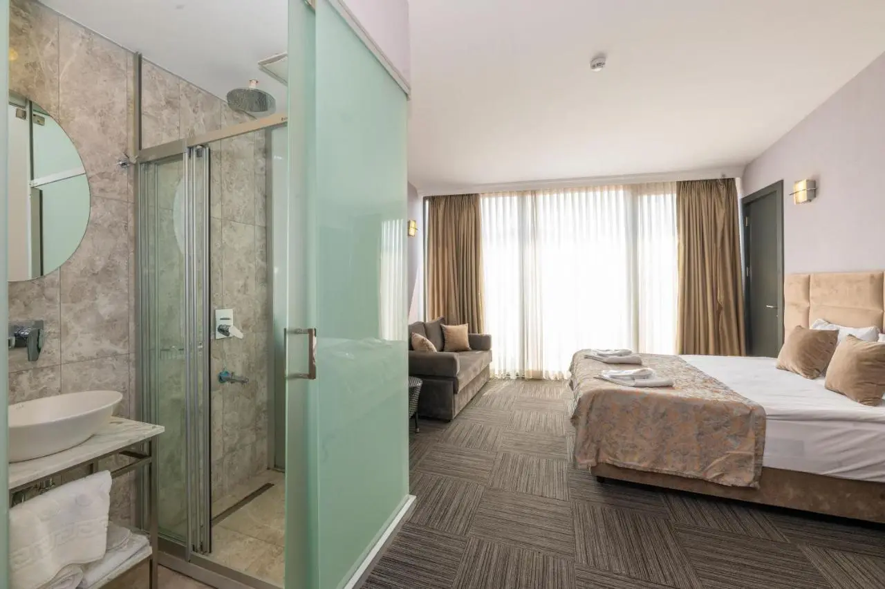 Taksim Hotel V Plus