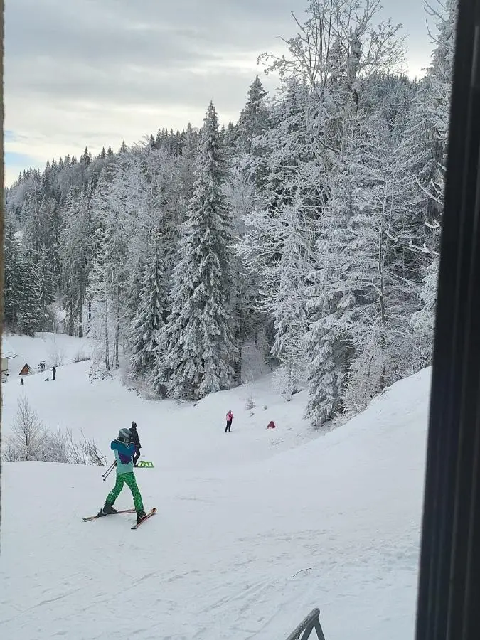 Terra Relax - ski in-ski out, apartman sa saunom, kaminom i parkingom