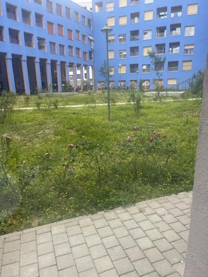 Sunflower Apartment