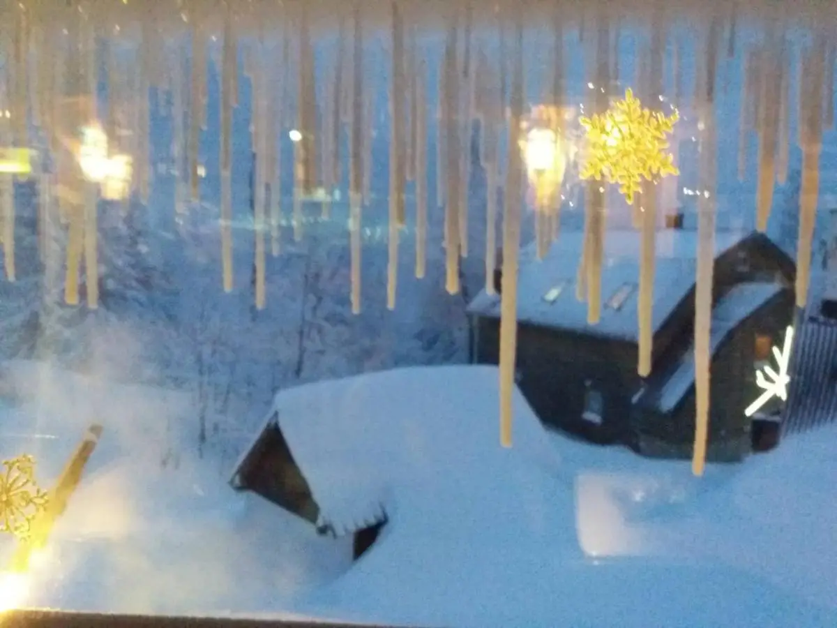Apartments Artic