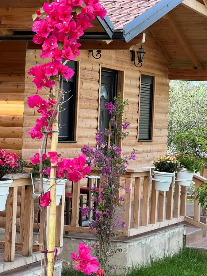 Guest House Dimal Berat
