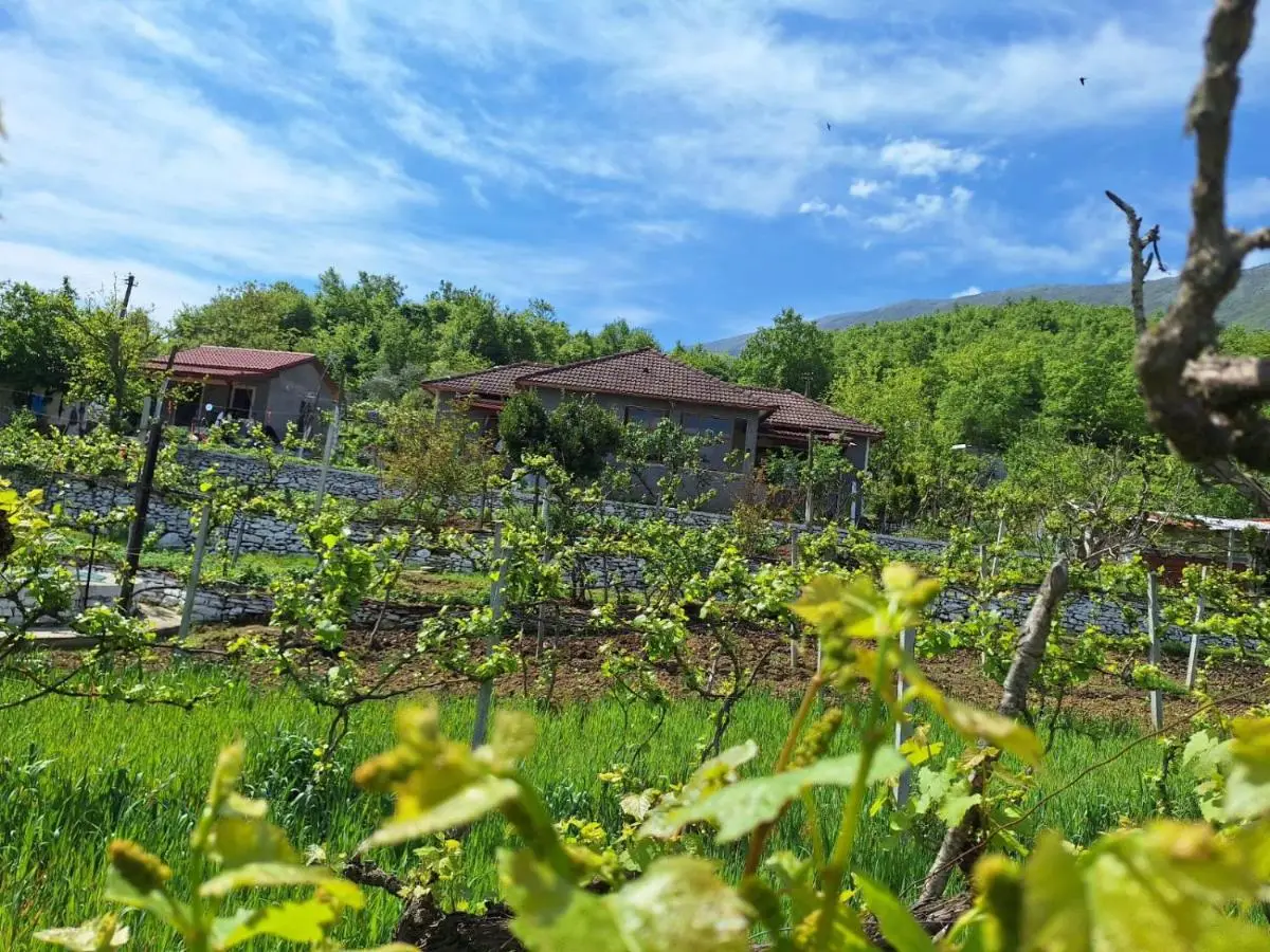 Spring Village Home