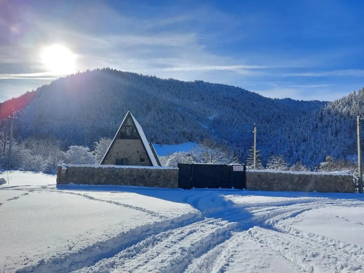Hillside Borjomi Two chalet