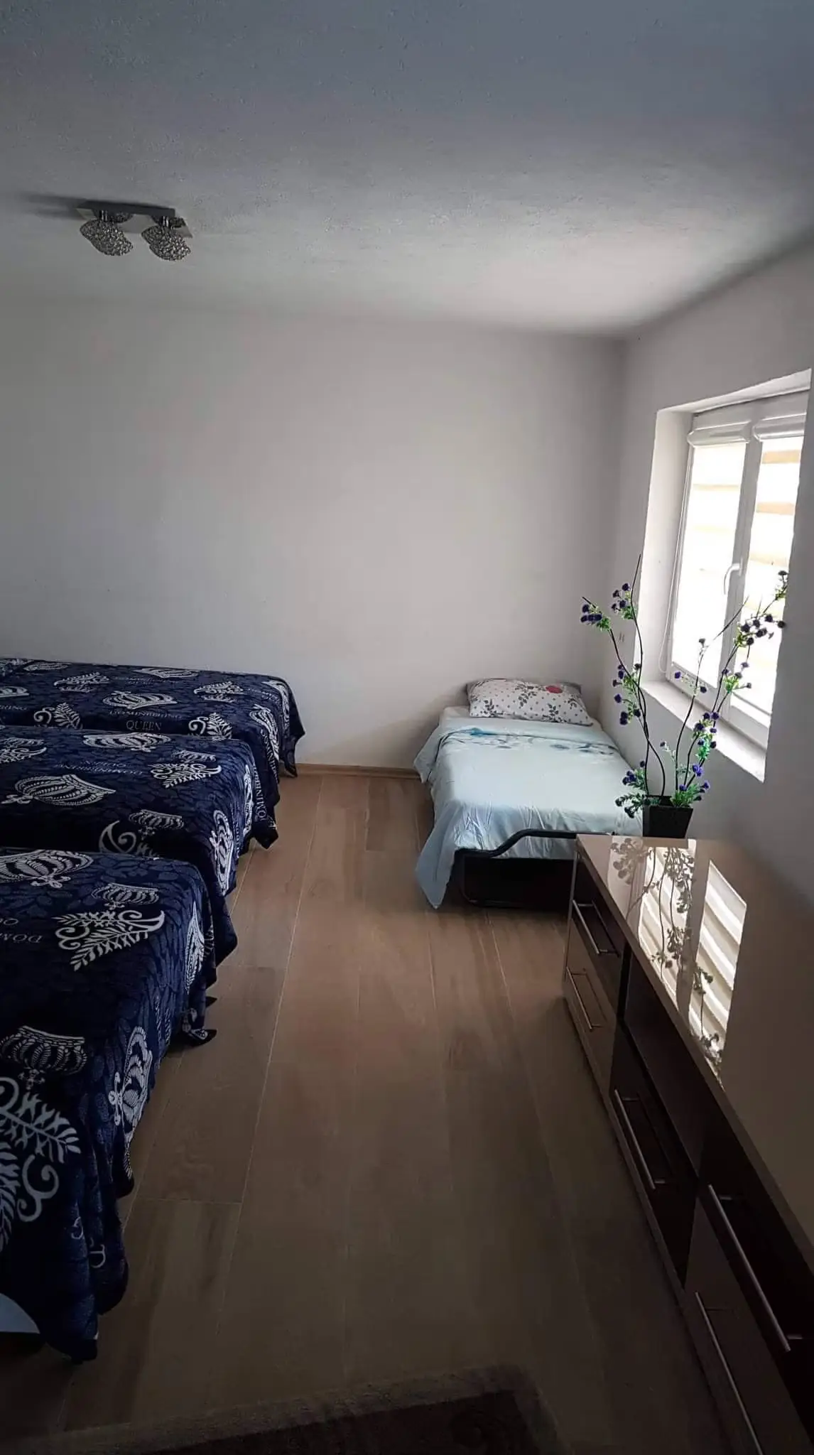 Luxury Villa in Sarajevo