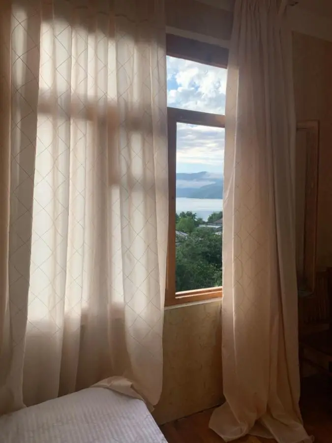 Panorama ananuri guest house