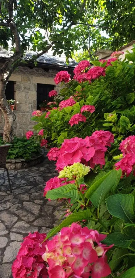Villa Fortuna