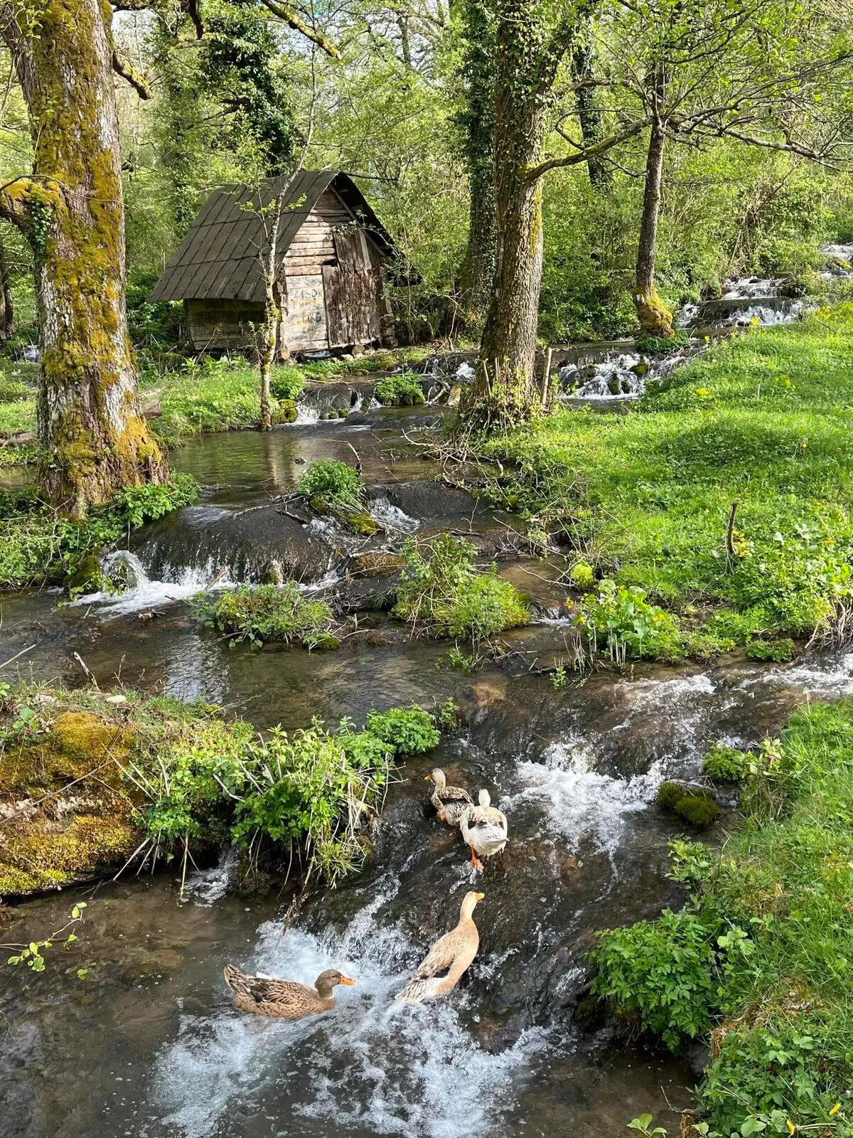 Ideal stopover Sarajevo–Bihac, BiH
