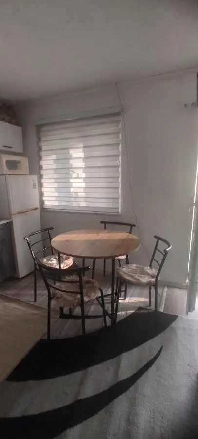 Vlasic holiday home