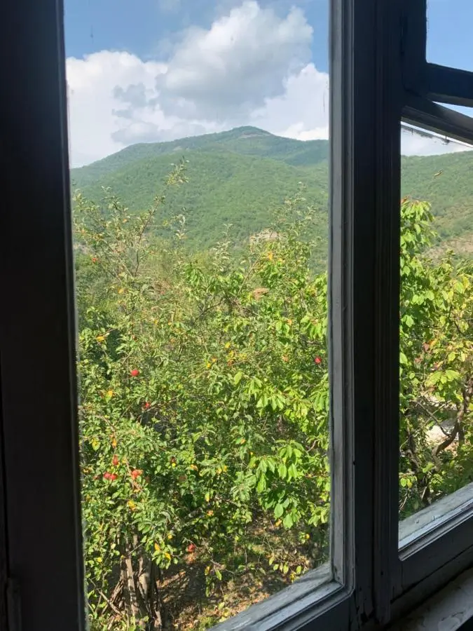 Panorama ananuri guest house