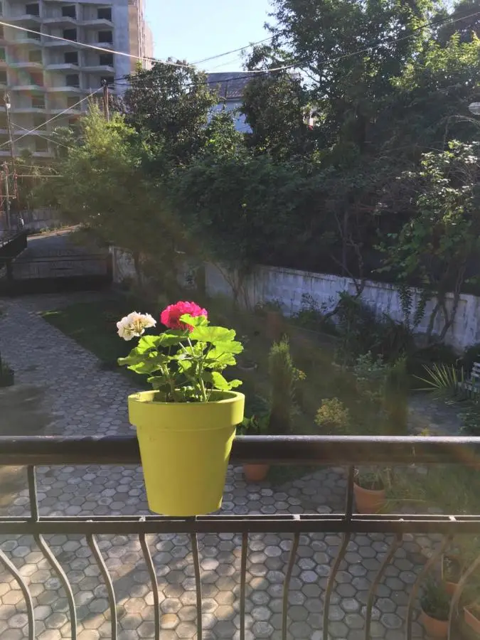 Nargiz's Guest House