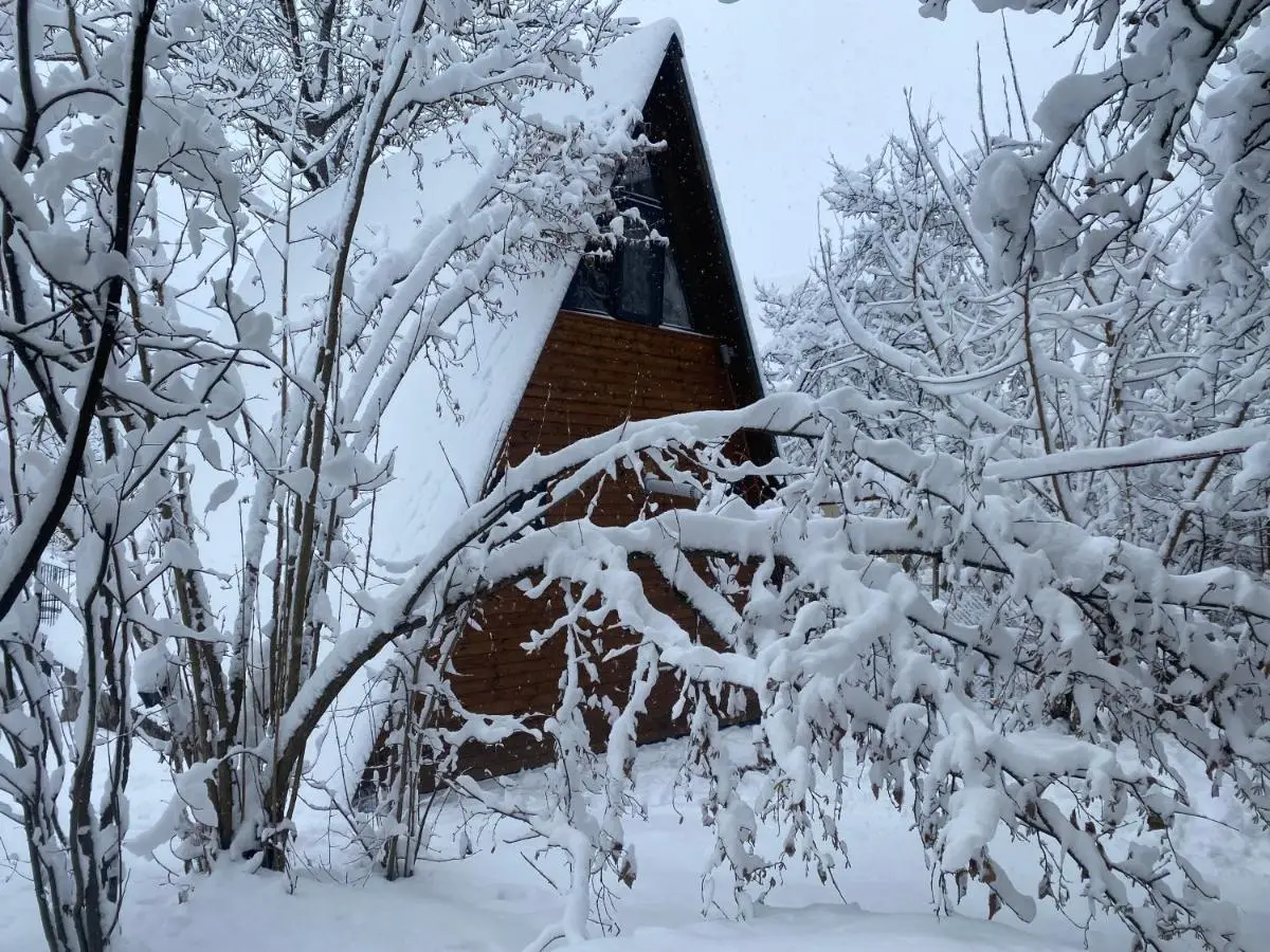 Wonderwood Borjomi Cottage