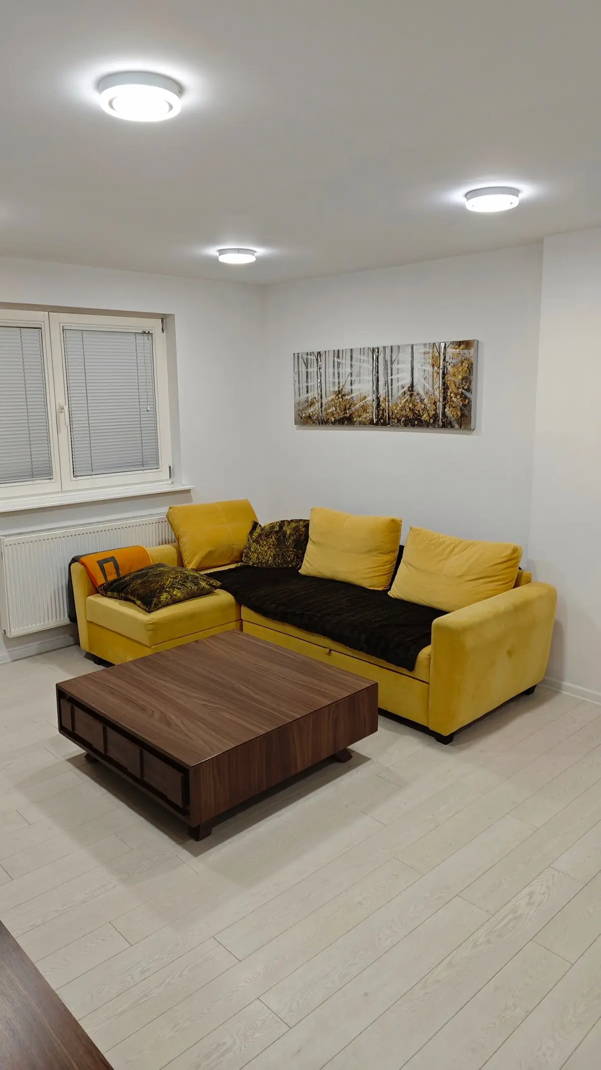 Villa Plandište 2
